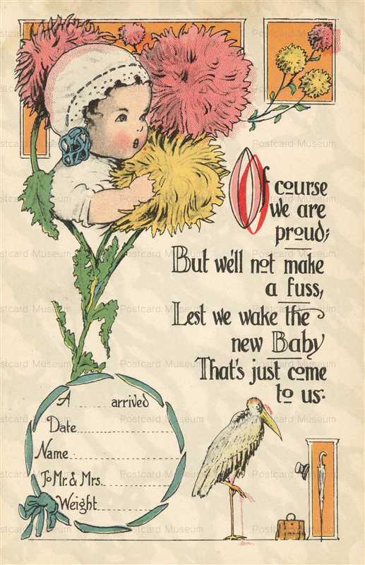 hb106-Stork Baby Birth Announcement Fantasy Stork Bird and Baby Chrysanthemum