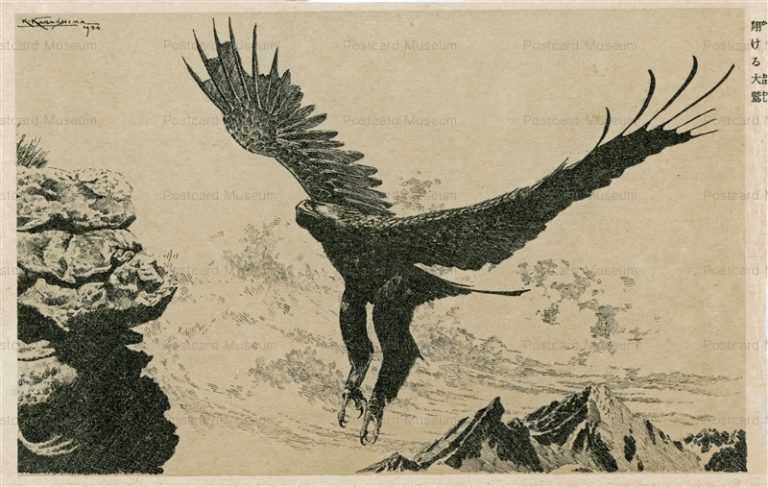 kak055-樺島勝一 翔ける大鷲
