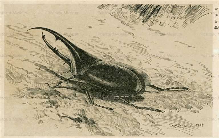 kak065-樺島勝一 かぶと蟲