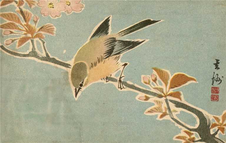 ku091-滑稽新聞 桜と鶯