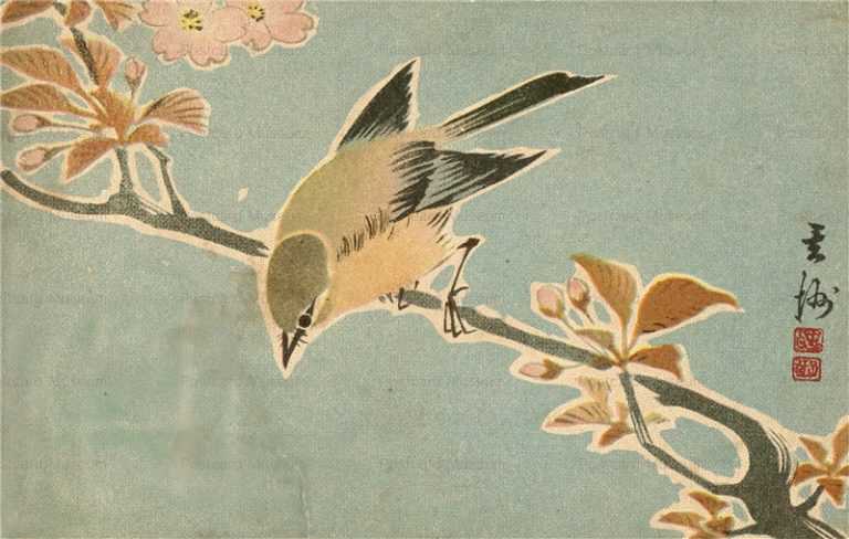 ku091-滑稽新聞 桜と鶯
