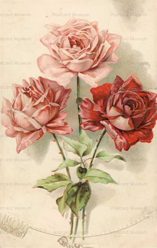 mx020-Mechanical Rose Flower Greeting