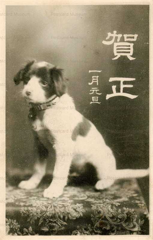 ni170-テーブルの犬