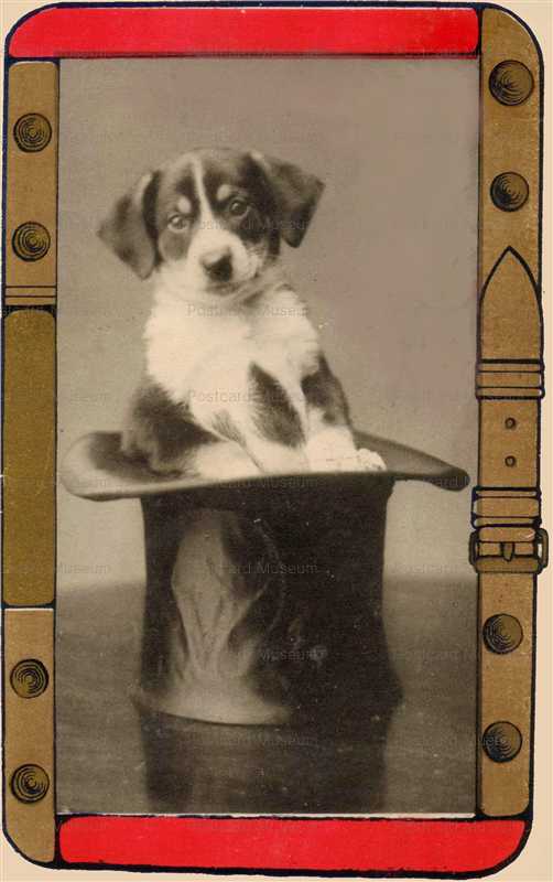 ni175-ハットの戌