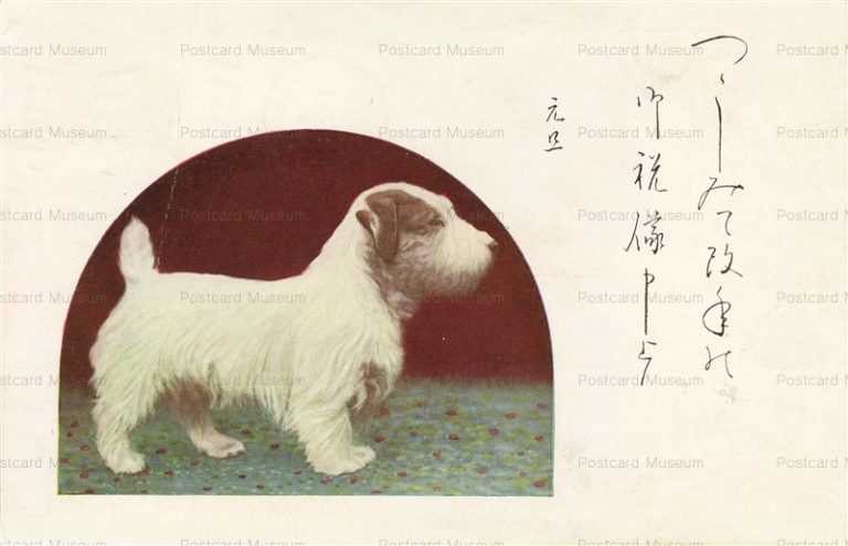 ni570-犬