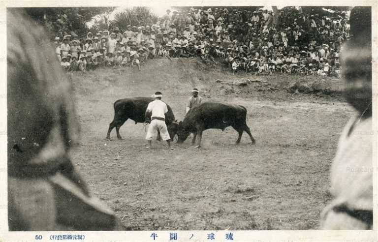 oky730-Bullfighting Ryukyu 琉球の闘牛
