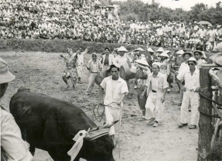 oky740-Bullfighting Okinawa 闘牛 勝利の踊 沖縄 1950