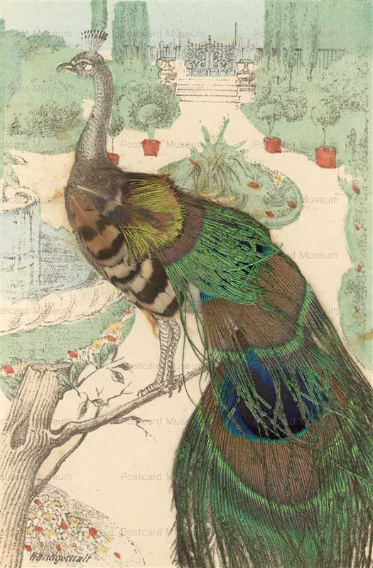 rm040-Peacock with Applied Feathers