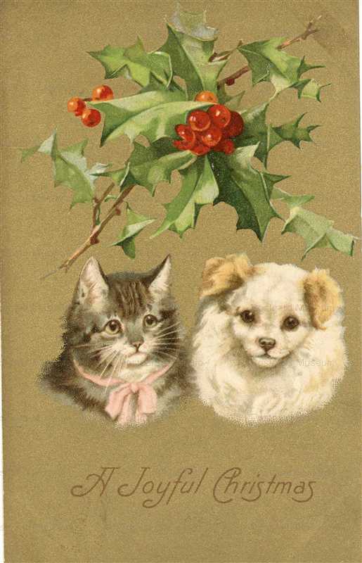 xm038-Joyful X'mas Cat and Dog