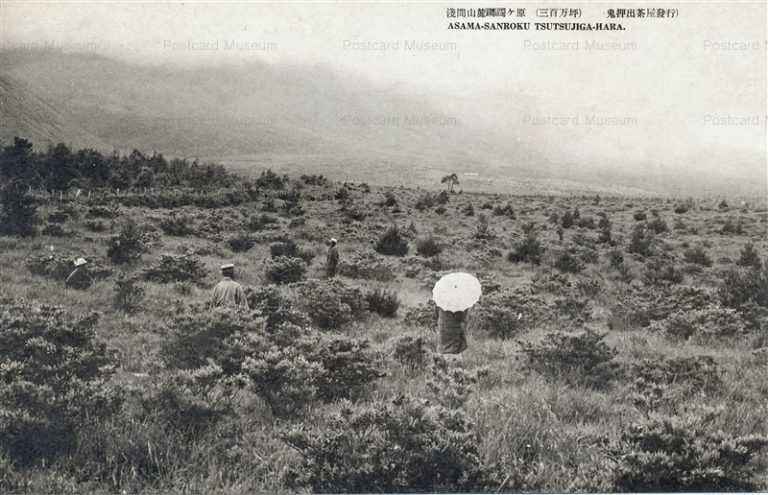 yt567-Asama Sanroku Tsutsujiga hara Nagano 淺間山麓躑躅ヶ原 長野