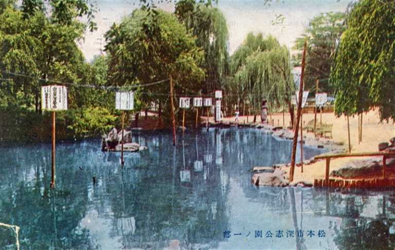 yt790-Fukashi park Matsumoto Nagano 深志公園ノ一部 松本市 長野