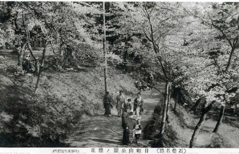 se2635-Hiyoriyama Park Ishinomaki 日和山公園ノ櫻花 石巻名勝