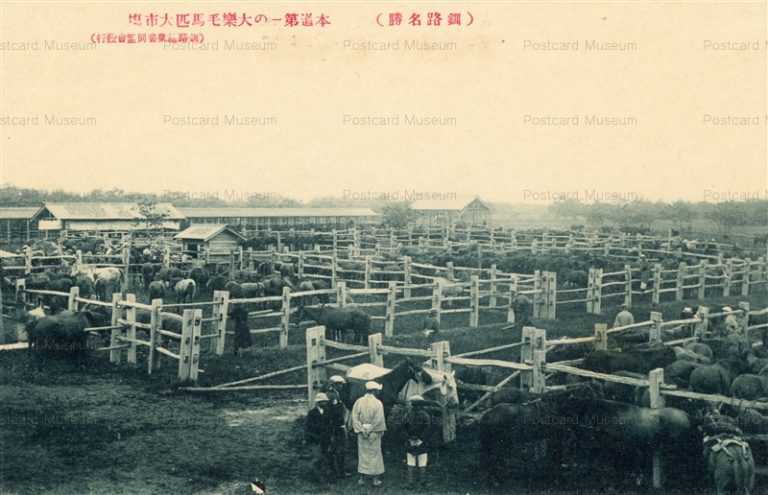 hz100-Horce Farm Kushiro 本道第一の大樂毛馬匹大市塲 釧路名勝