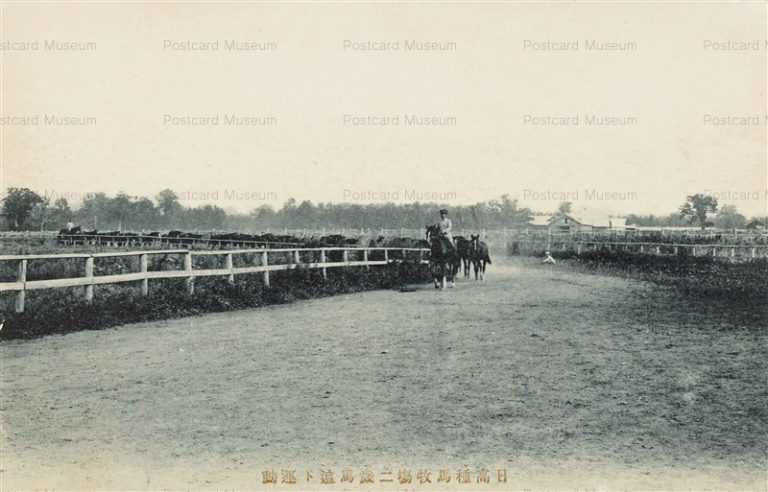 hy120-Urakawa Hidaka 日高種馬牧場 浦河町