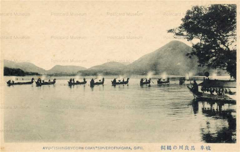 uf268-Ayu Fishing Cormorant Nagaragawa Gifu 長良川の鵜飼 岐阜