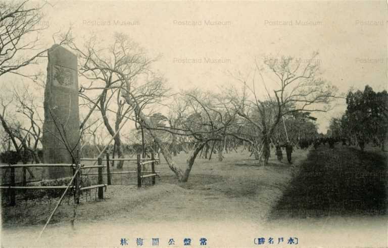 ll122-Tokiwa Park Plum Grove Ibaraki 常盤公園梅林 茨城