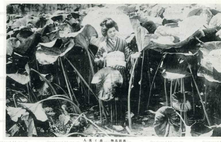 er455-Specialty Butterbur and Beauty Akita 蕗と美人 秋田名物