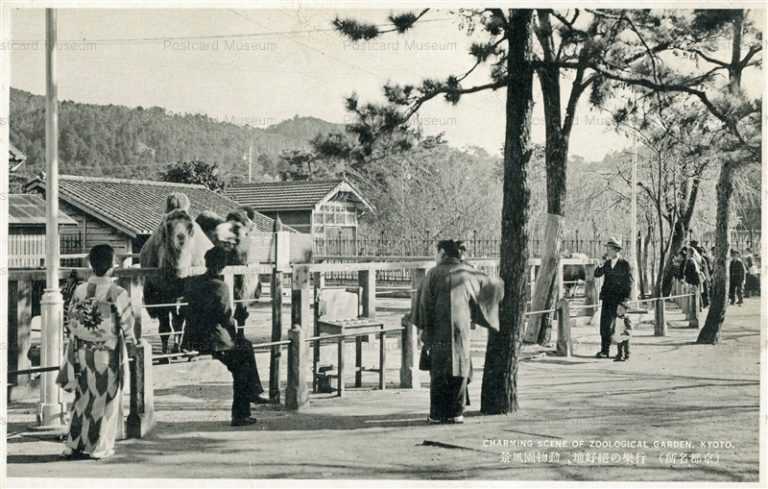 kob055-Charming Scene of Zoological Garden Kyoto 行樂の絶好地、動物園風景 京都