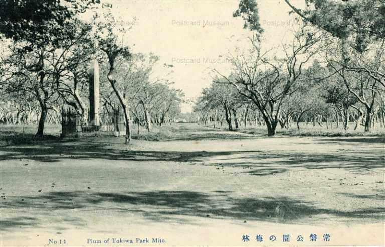 ll117-Plum Of Tokiwa Park Mito 11 常盤公園の梅林 茨城