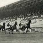 360850dac9e9b4bdf98081b167f63a