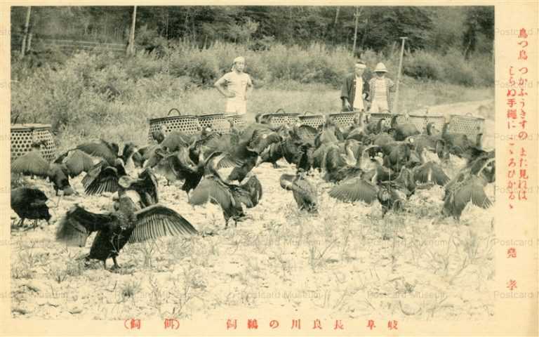 uf233-Nagaragawa Gifu 長良川の鵜飼い