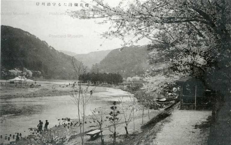 kfb013-Riverside Of Uji River 櫻花爛漫たる宇治川岸
