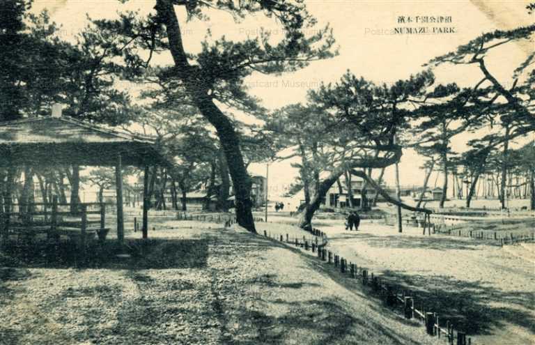 uc1363-Numazu park 沼津公園千本濱