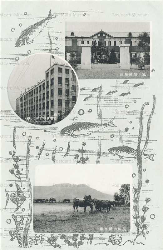 ha670-Asahikawa Normal School 旭川師範学校