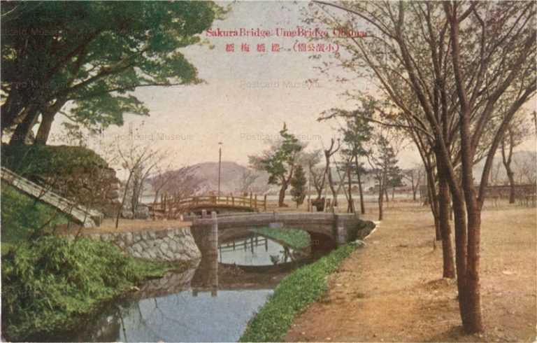 hf1440-Sakura Bridge Ume Bridge Obama 小浜公園 櫻橋梅橋