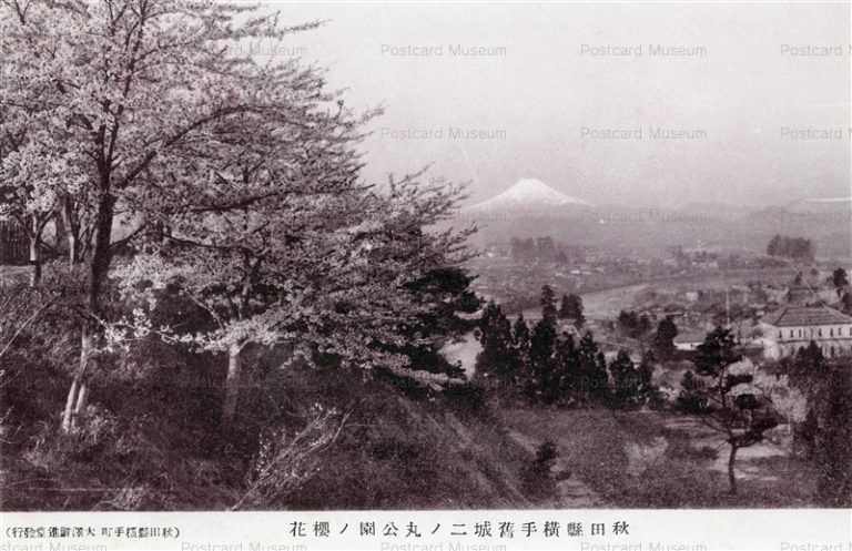 er857-Yokotecho Park 秋田県横手旧城二ノ丸公園ノ桜花