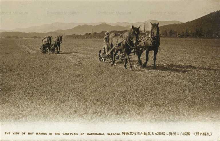 hs810-Makomanai Sapporo 真駒内 牧草収穫 札幌