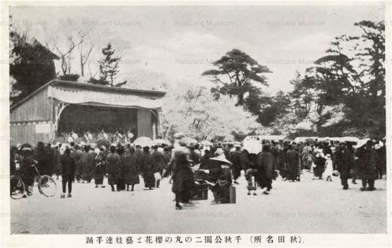 er297-Sensyu Park Akita 千秋公園二の丸の桜花と芸妓連手踊 秋田