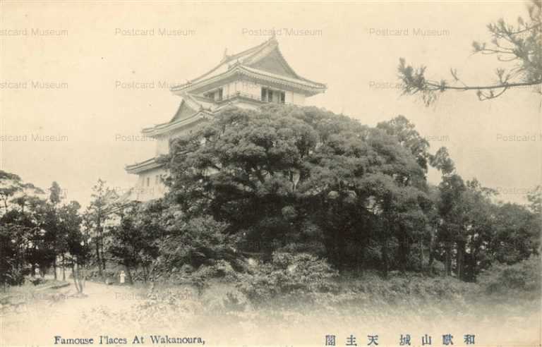 zy150-Wakayama Castle 和歌山城 天守閣
