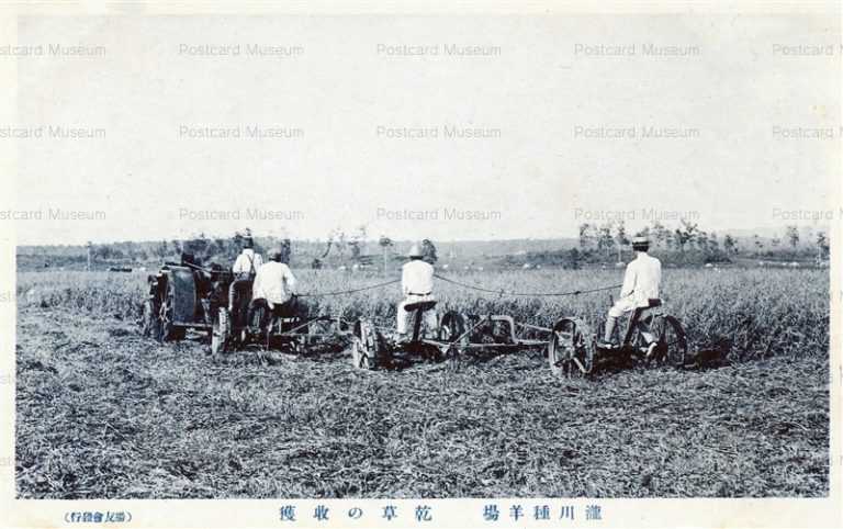 hy660-Takigawa Breeding Sheep Farm Sorachi 乾草の牧獲 瀧川種羊場 空知