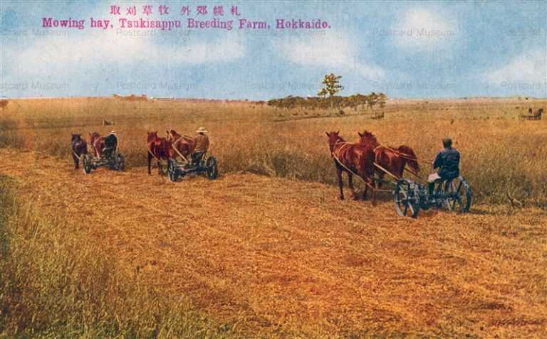 hs820-Tsukisappu Farm Hokkaido 札幌郊外 牧草刈取