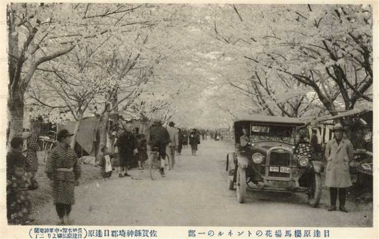 sag110-Metabaru Saga 目達原櫻馬場花のトンネル 佐賀縣神埼郡目達原 佐賀