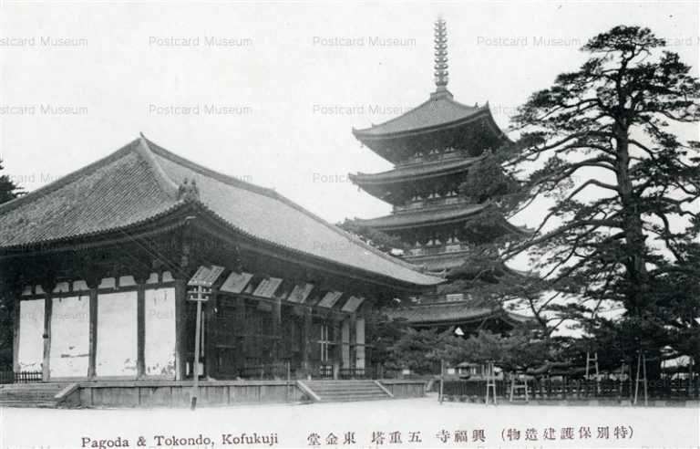 zn773-Pagoda Tokondo kofukuji 興福寺 五重塔 東金堂
