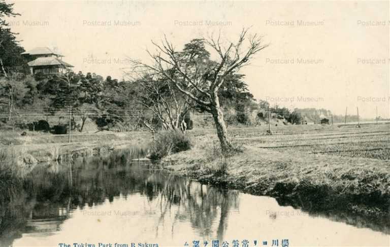 ll116-The Tokiwa Park From R Sakura 櫻川ヨリ常盤公園ヲ望ム 茨城