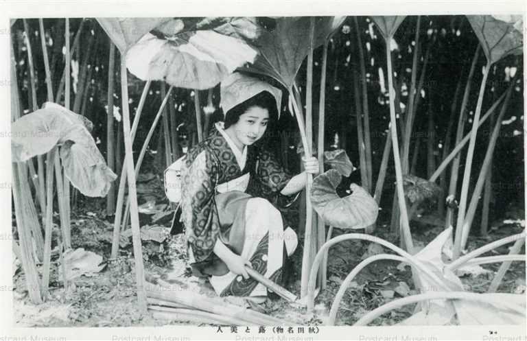 er457-Specialty Butterbur and Beauty Akita 蕗と美人 秋田名物