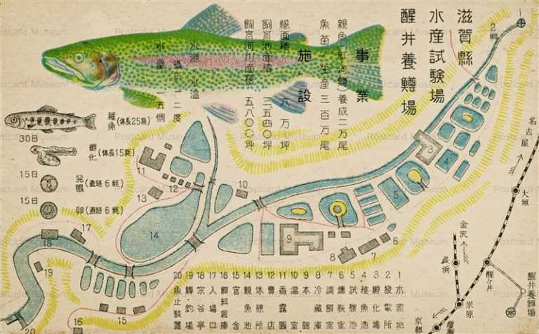 zc995-Suisan shikenjo Map 水産試験場醒井養鱒場