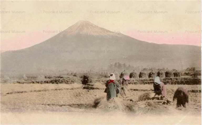 uc1230-Mt Fuji 富士山 稲刈り