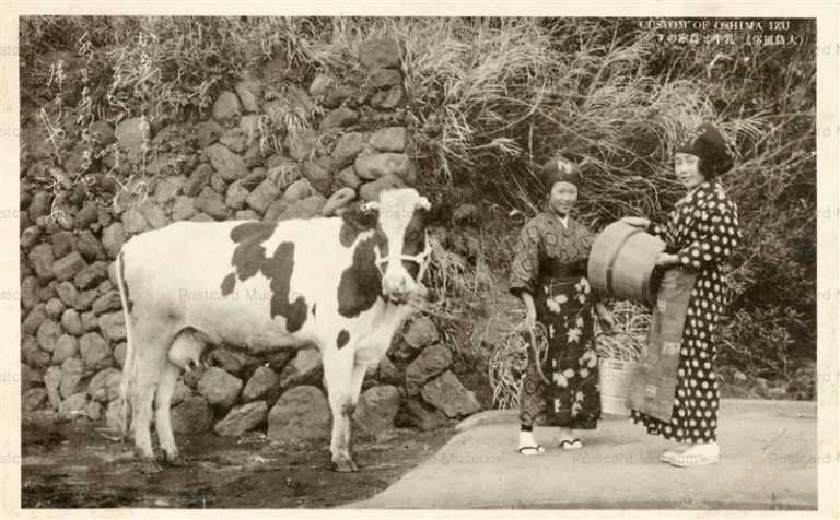 uc975-Oshima Izu 大島 乳牛と農家のアンコ