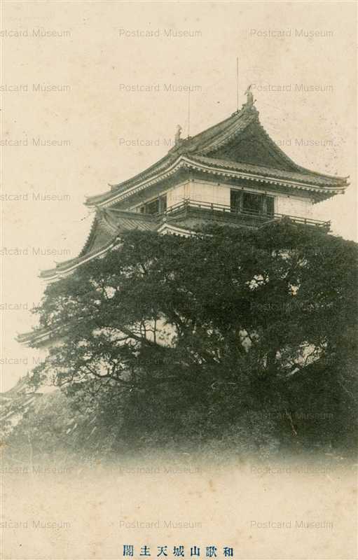 zy155-Wakayama castle 和歌山城天守閣