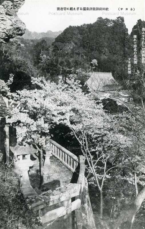 cim1660-Tatsunogozen Shrine Yunotsuonsen 賽者常に絶えざる温泉津龍御前神社