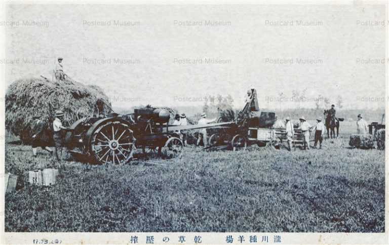 hy655-Takigawa Breeding Sheep Farm Sorachi 乾草の厭搾 瀧川種羊場 空知