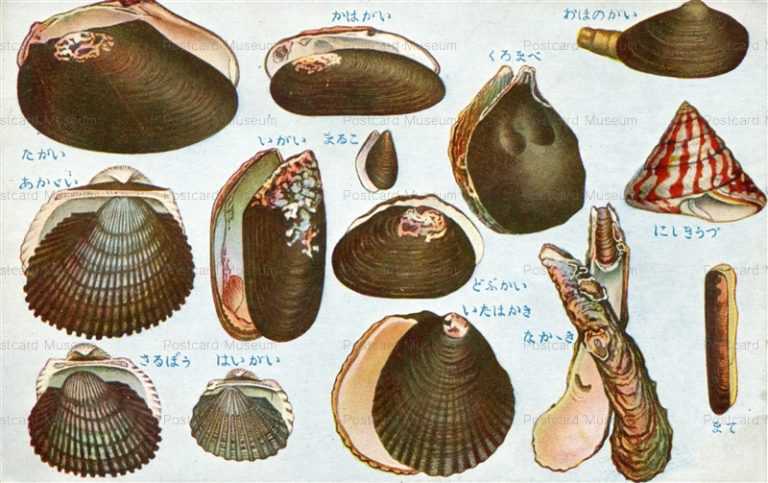 cgs350-たがい いがい まるこ くろまべ