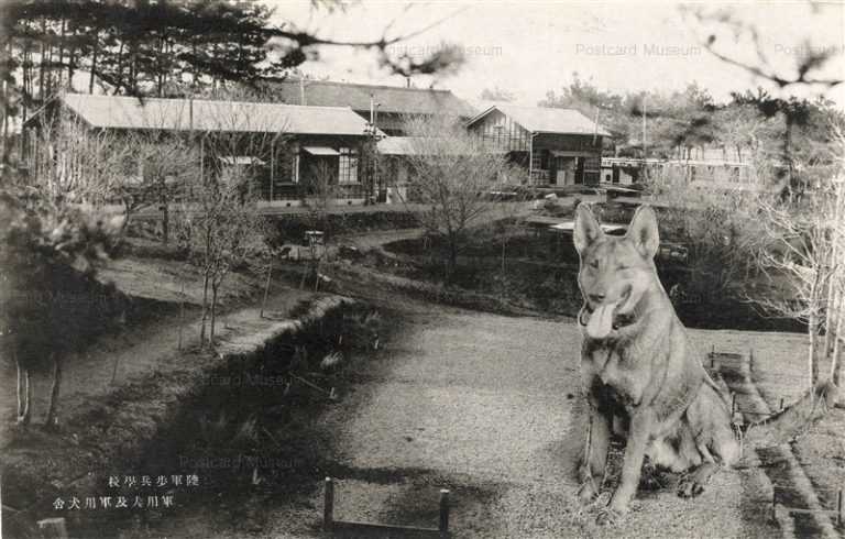 cga210-陸軍歩兵学校 軍用犬及軍用犬舎 千葉稲毛