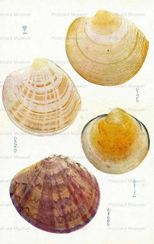 cgs343-ひながひ　四十三