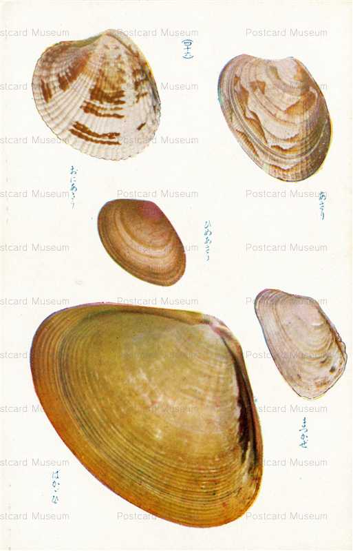 cgs346-あさり　まつかぜ　四十六