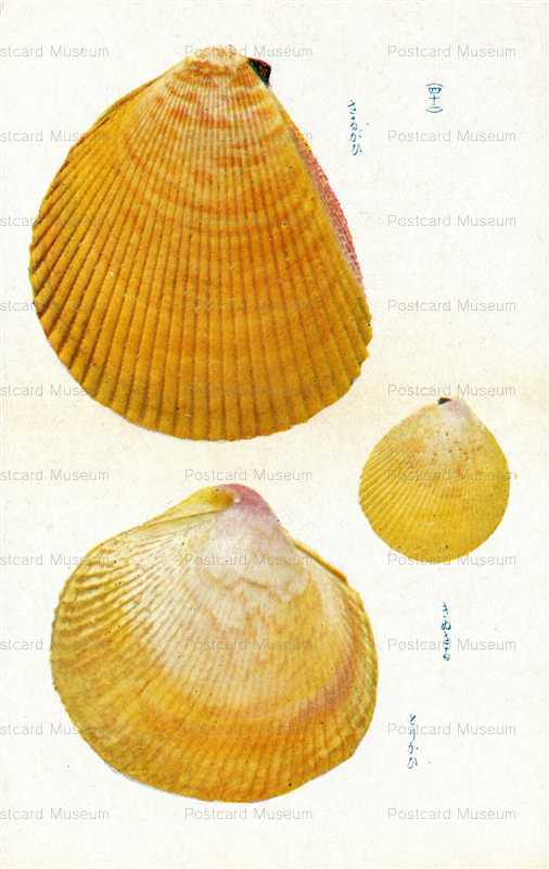 cgs342-さるがひ とりかひ　四十二